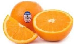 USA Sunkist Orange