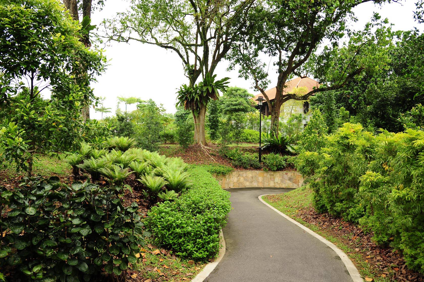 Healing Garden Expat Guide Healing Garden Expat Guide