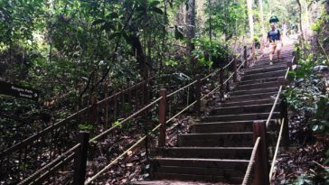 Hiking Trails in Singapore-Singapore-Bukit Timah Nature Reserve1