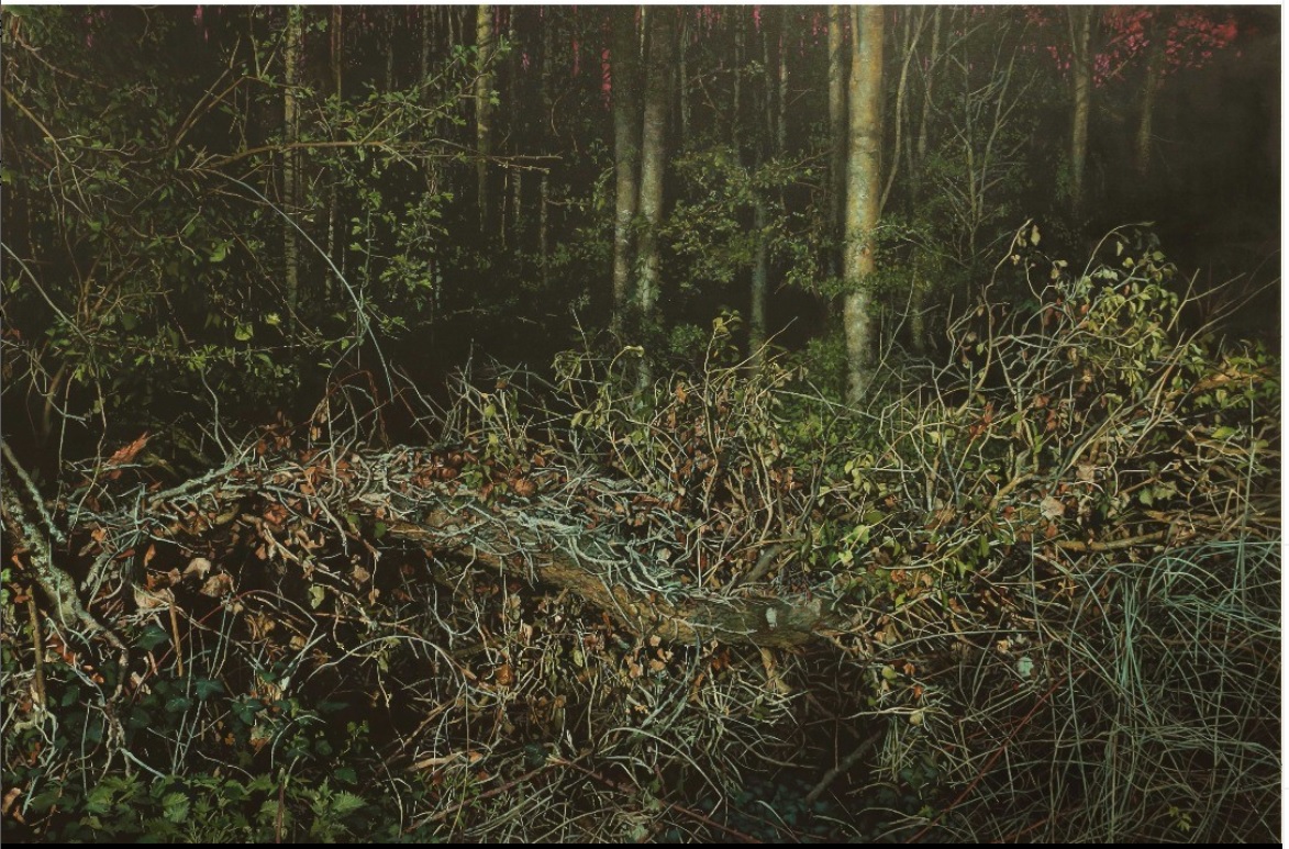 Affordable Art Fair Singapore Siger Michael Corkrey Artwork2