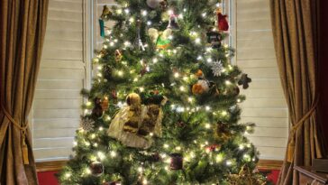 All About Crhistmas Singapore real Christmas tree