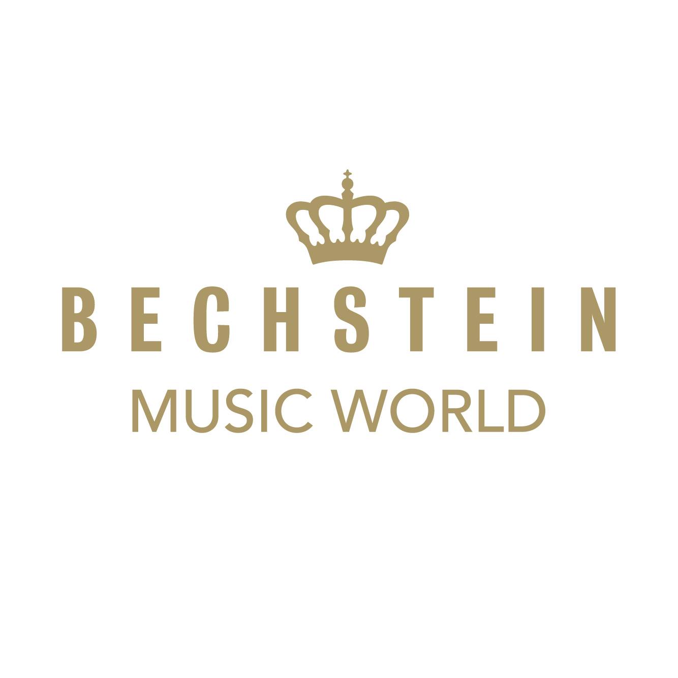 Bechstein Music World Singapore