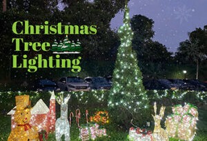 Christmas Tree Lighting