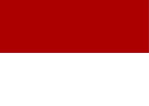 Expat Guide Indonesia Basics