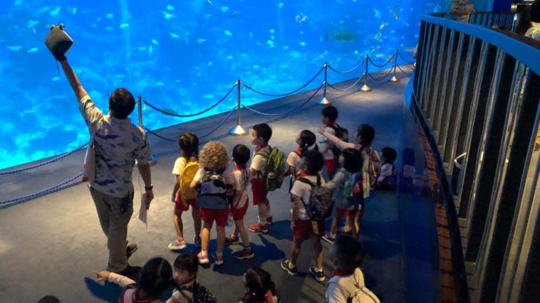 Mai’s Underwater Journey (S.E.A Aquarium)