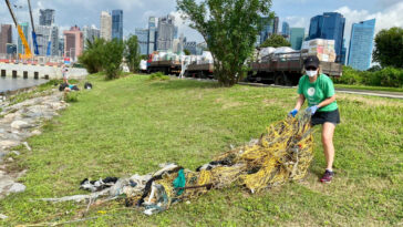 One Planet Beach Clean Up