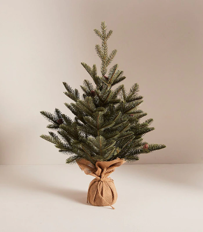 Rent Christmas Trees