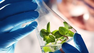 SGC Healthcare & Life Sciences Committee Meeting 20 June 2023