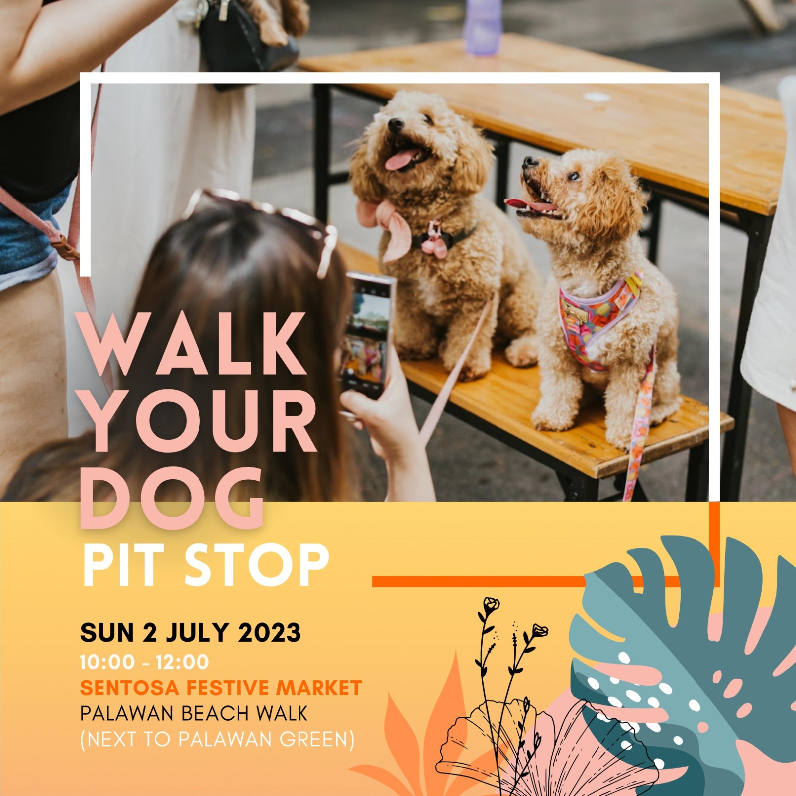 what can you do with your dog in singapore