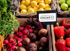 Singapore Organic Bio aus Deutschland Unmasking Deceit The Most Shocking Scandals in the History of Organic Labeling