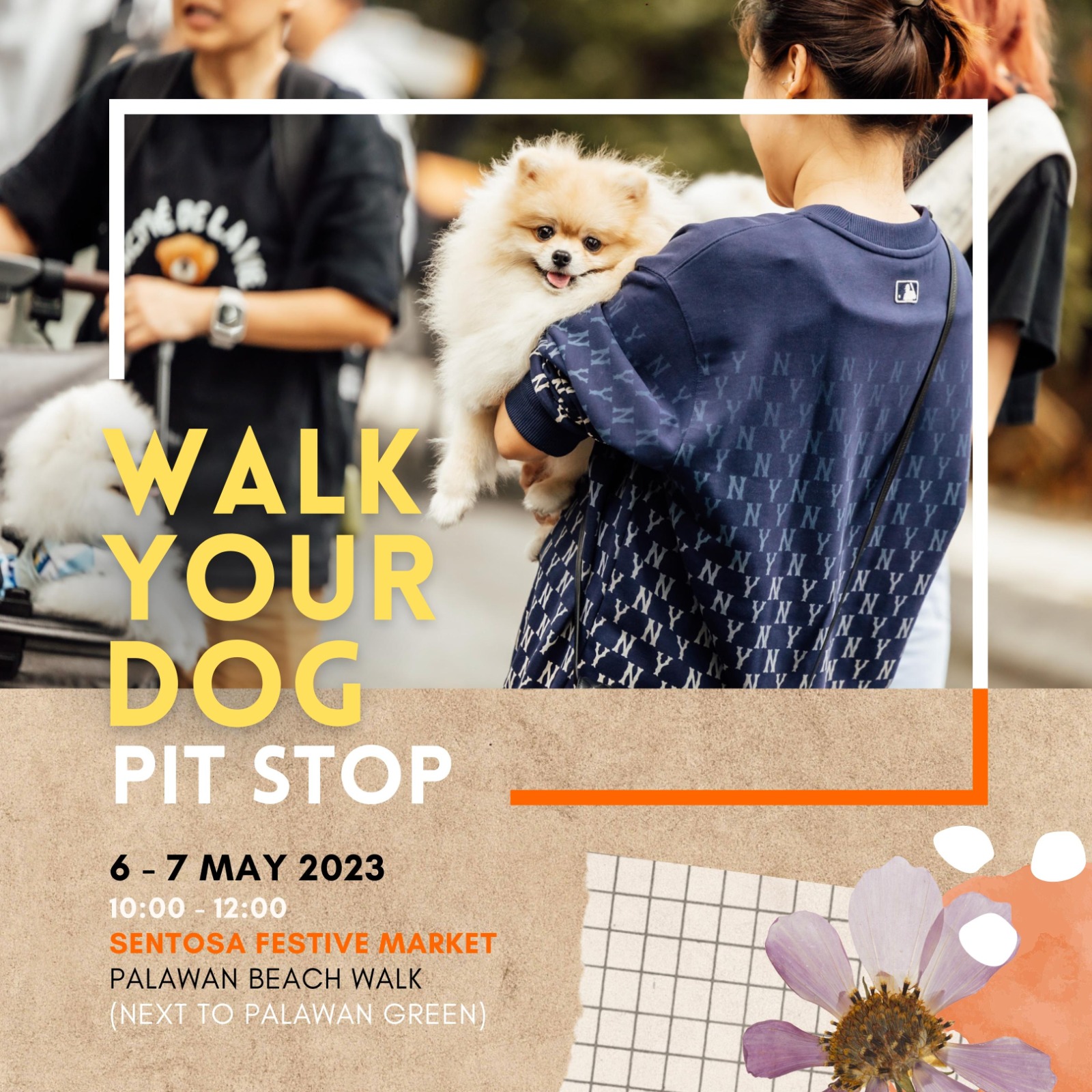 what can you do with your dog in singapore