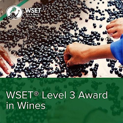 Fine Wines SG Pte Ltd